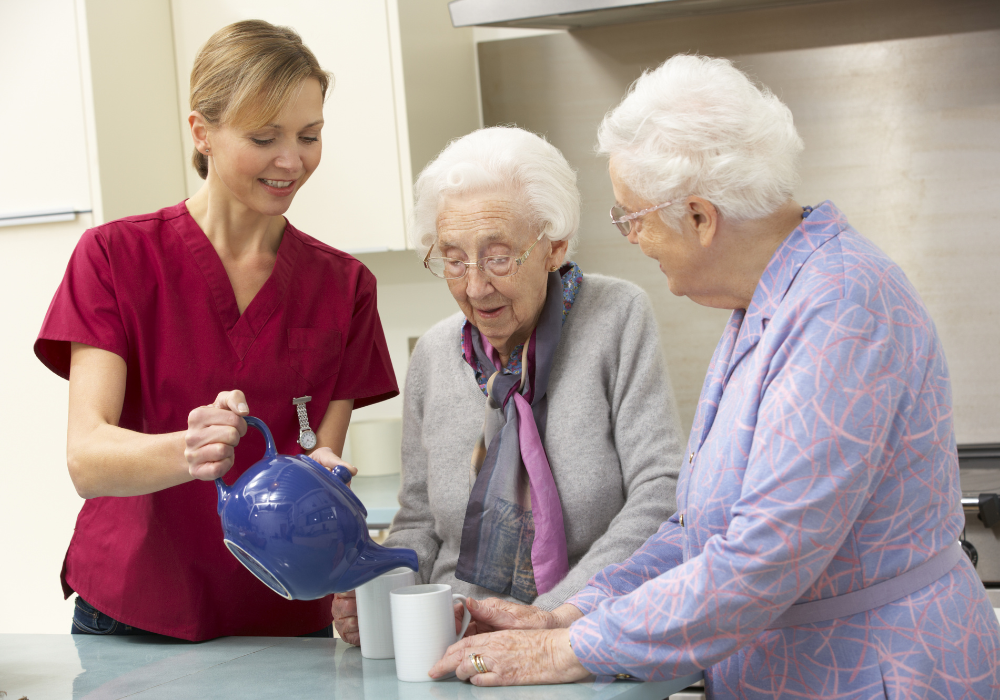 Dementia and Alzheimer Care Services